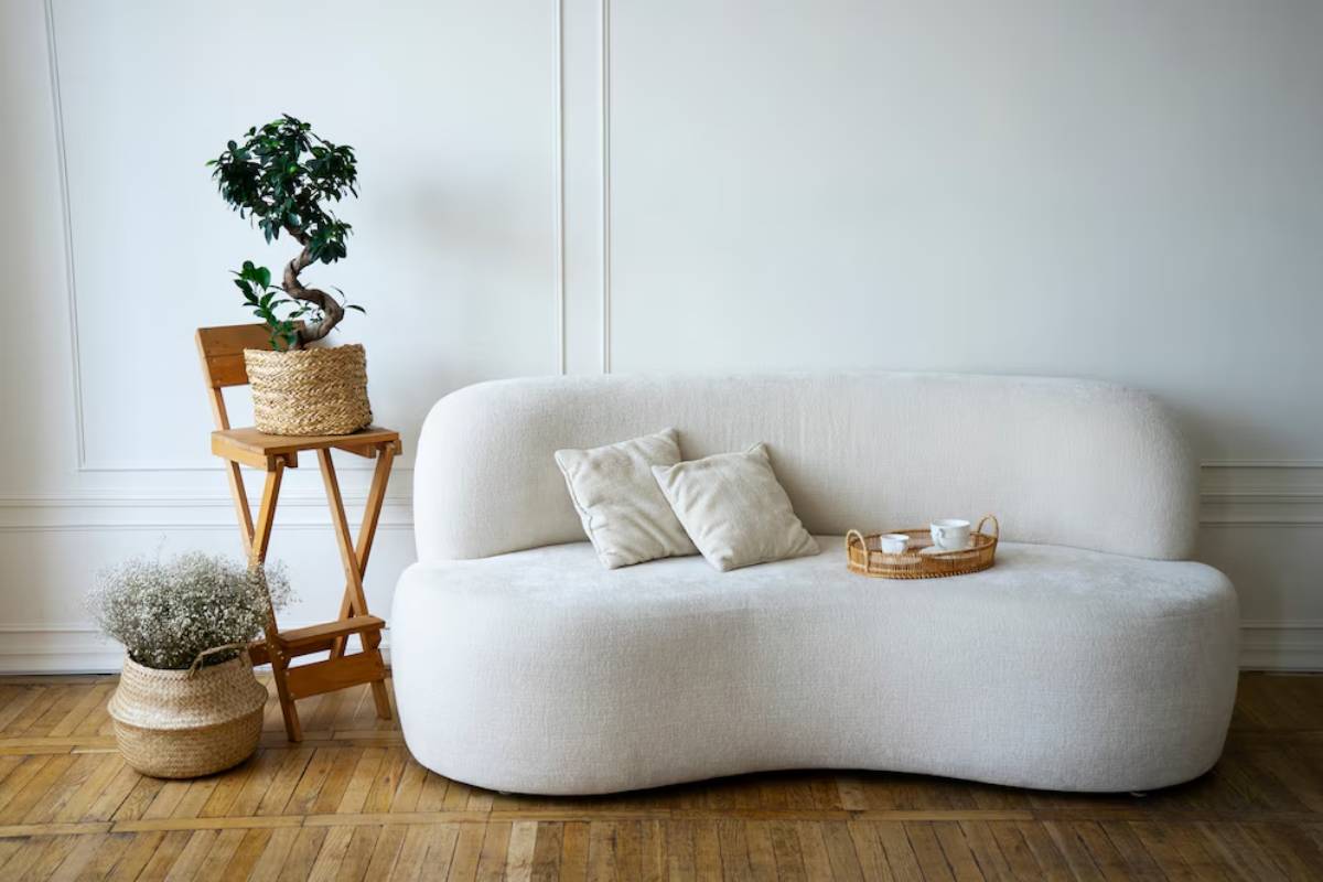 A cozy living room with a white sofa, wooden folding chair, plants, and a tea set on a wooden tray.